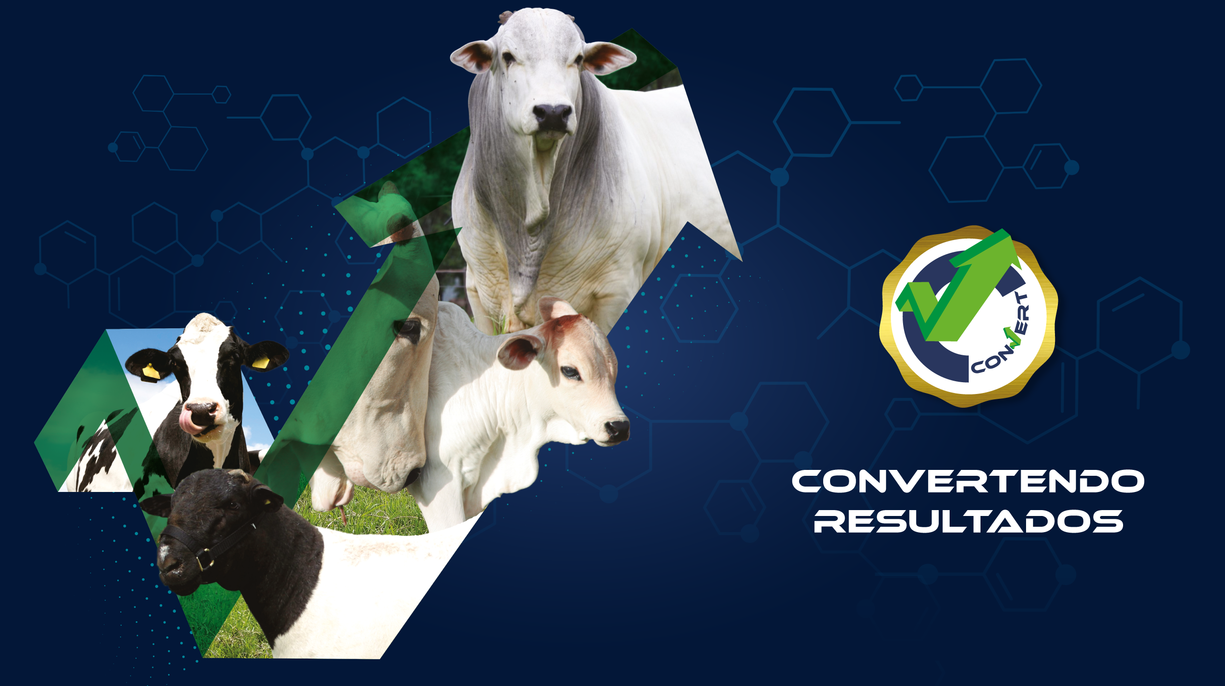 Convert Nutrição